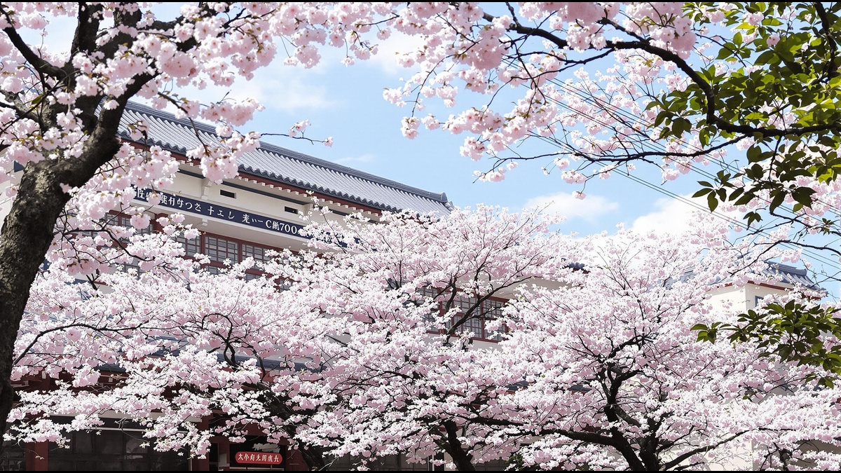 美濃小学校の校舎
